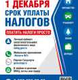Успейте оплатить налоги до 1 декабря текущего года